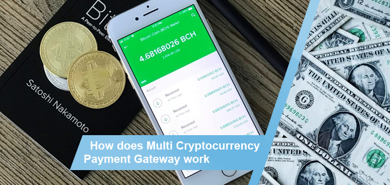 All You Need to Know About Multi Cryptocurrency Payment Gateways