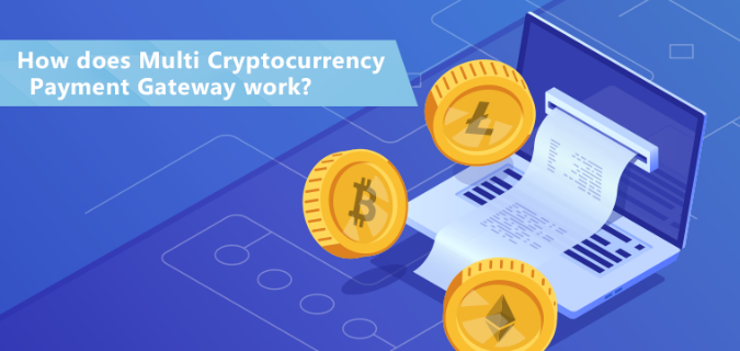 How Does Multi Cryptocurrency Payment Gateway Work