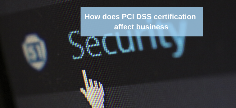 pci-dss-standard-and-how-it-affects-business-payspace