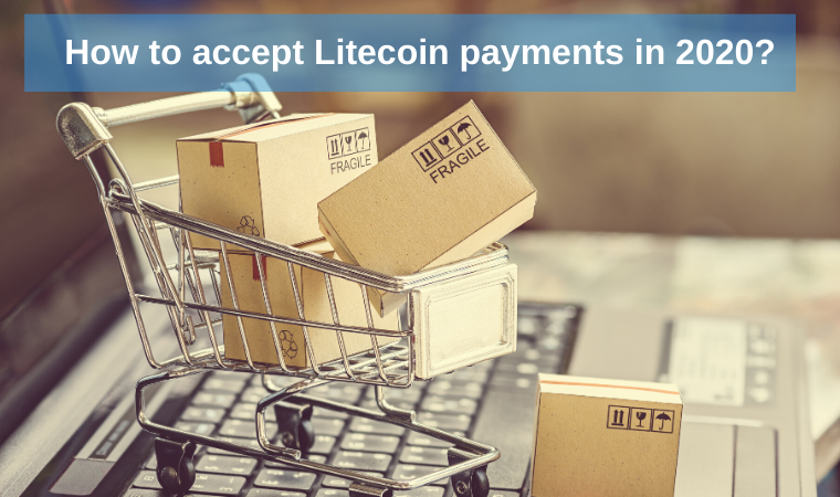 How to accept Litecoin payments on your site in 2020